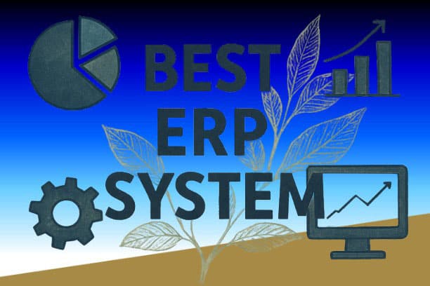 Best ERP System